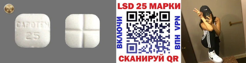 ЛСД экстази ecstasy  Богородицк 